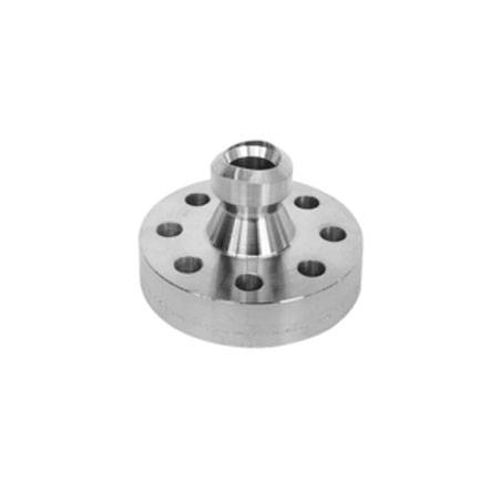 SS Flange Outlets