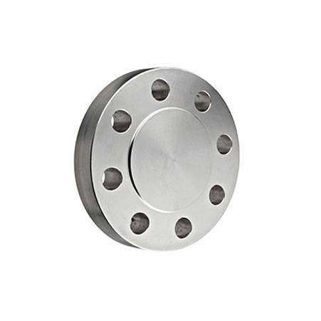 SS 904L Blind Flanges