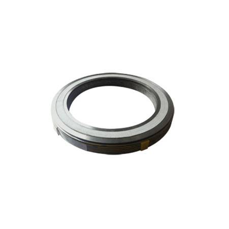 SS Graphite Filler Gaskets