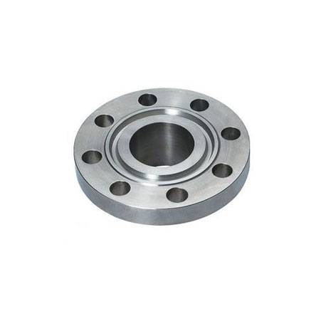 SS Ring Type Joint Flanges